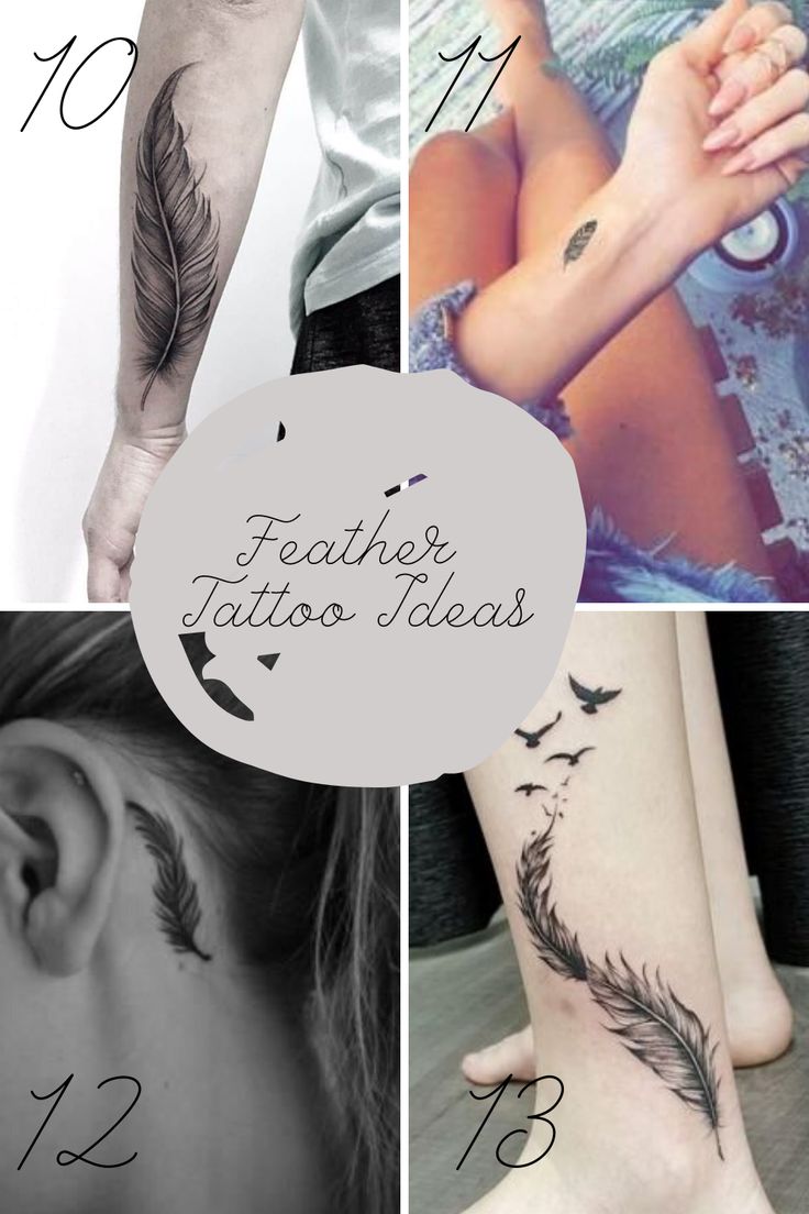 Feather and bird tattoo design for women tattoo ideas