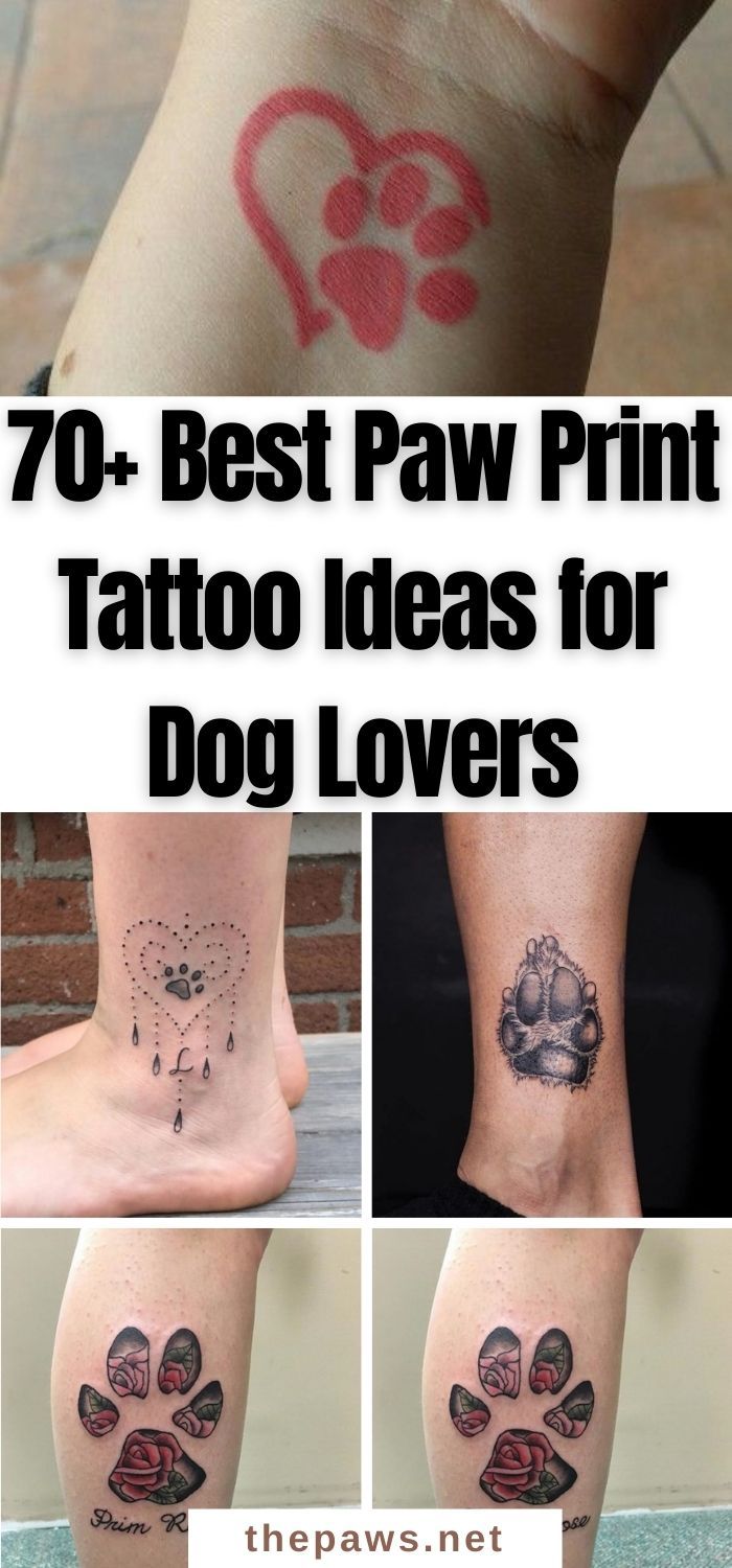 Realism rose and paw print tattoo design for women on leg and wrist tattoo ideas
