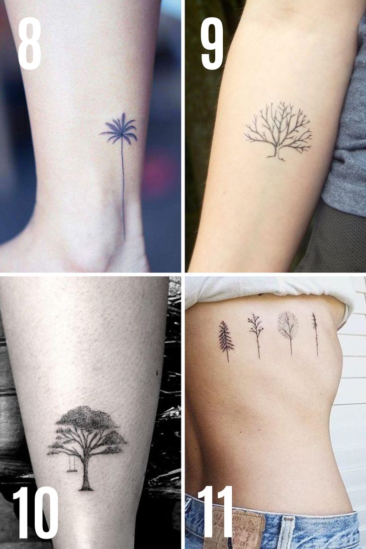 Minimalist tree tattoo design for women on ankle, arm, and rib tattoo ideas
