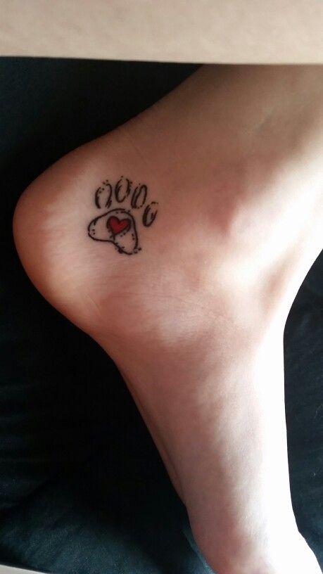 Linework paw print with heart tattoo design for women on ankle tattoo ideas