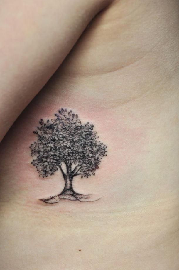 Sketch tree tattoo design for women on rib tattoo ideas