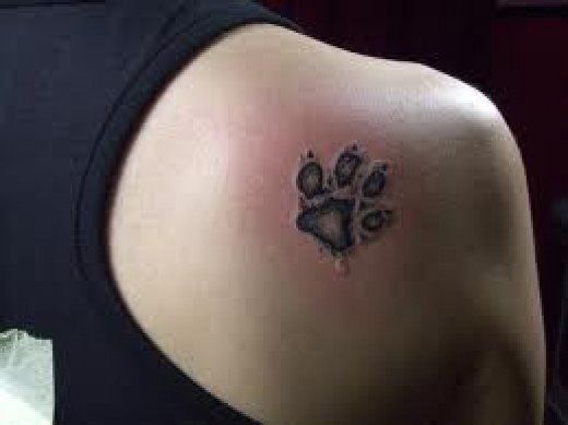 Black and grey paw print tattoo design for women on shoulder tattoo ideas