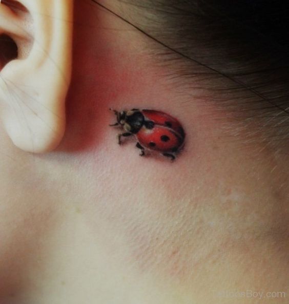 Realistic ladybug tattoo design for women behind the ear tattoo ideas
